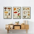 thumbnail image 6 of Mushroom Species VI - Framed Premium Gallery Wrapped Canvas L Frame 3 Piece Set - Ready to Hang, 6 of 9