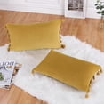 thumbnail image 1 of Soft Velvet Throw Pillowcovers 12×20 Set of 2 Pillow Cases Velvet Rectangular Pillow Covers with Tassels Lumbar Cushion Case, Cream, 12"×20", Set of 2, 1 of 9