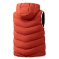 thumbnail image 4 of LEKWK Puffer Vest Men Sleeveless Zip Up Casual Jacket with Hood Lightweight Fall Winter Warm Outerwear for Golf Running Outdoor Ski Snow, 4 of 4