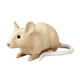 thumbnail image 5 of Ratones de juguete modelo rata falsa pintada a mano figuras de animales de simulación educativa para Estilo A, 5 of 9