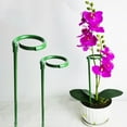 thumbnail image 6 of 10X Plant Support Stakes Garden Flower Support Single Stem Plant Support Stakes, 6 of 10