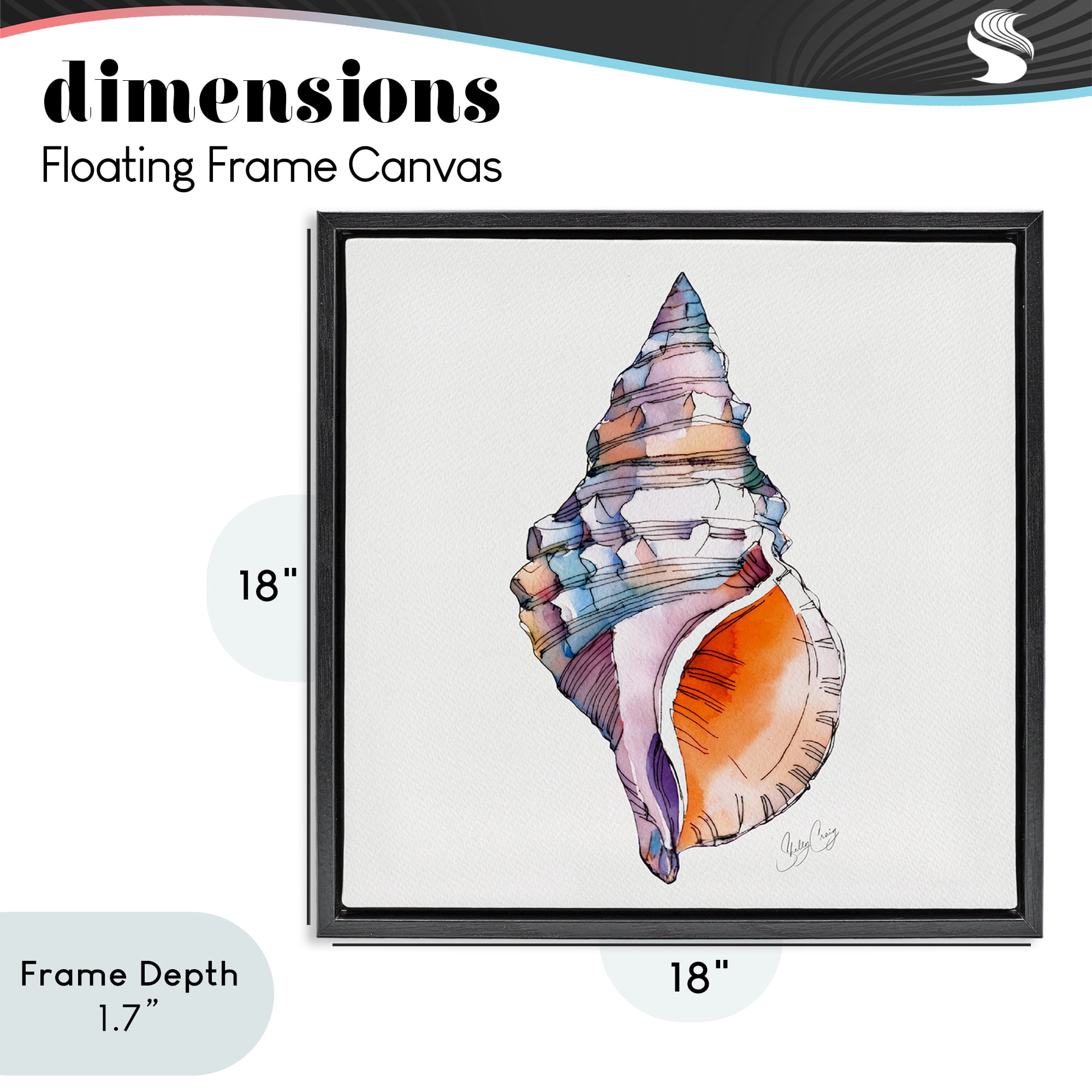 Stupell Industries Sunrise Conch Shell Black Framed Floater Canvas Wall Art, design by Shelly Craig