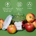 thumbnail image 3 of Scentworx 14.5 oz Orchard Apple 3-Wick Jar Candle by Slatkin & Co, 3 of 6