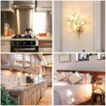 thumbnail image 5 of 20pcs G4 Halogen Tungsten JC Light Bulbs 12V Base Lamp 2800K Warm White Bi-Pin, 5 of 5