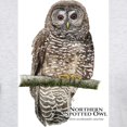 thumbnail image 3 of CafePress - Northern Spotted Owl Light T Shirt - Light T-Shirt - CP, 3 of 4