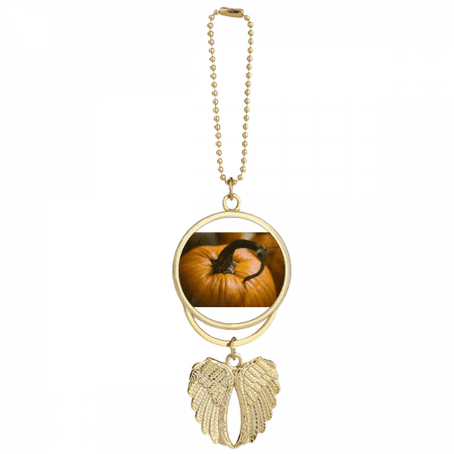 Fresh Pumpkin Picture Nature Photograph Car Keychain Angel Wing Pendant