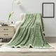 thumbnail image 1 of Manta de Forro Polar Suave y Cálida de Color Verde Claro | 150 X 102 Cm | Manta Acogedora y Esponjosa para El Sofá | Manta Decorativa a Rayas | Ideal para Regalo | Poliéster | Ligera y Transpirable |, 1 of 6