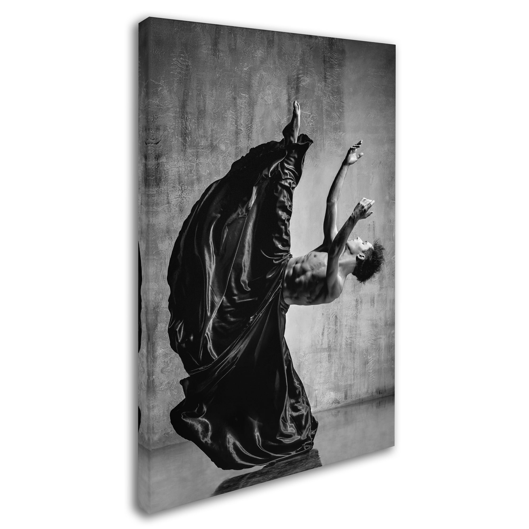 Trademark Fine Art 'Point' Canvas Art by Alexander Yakovlev