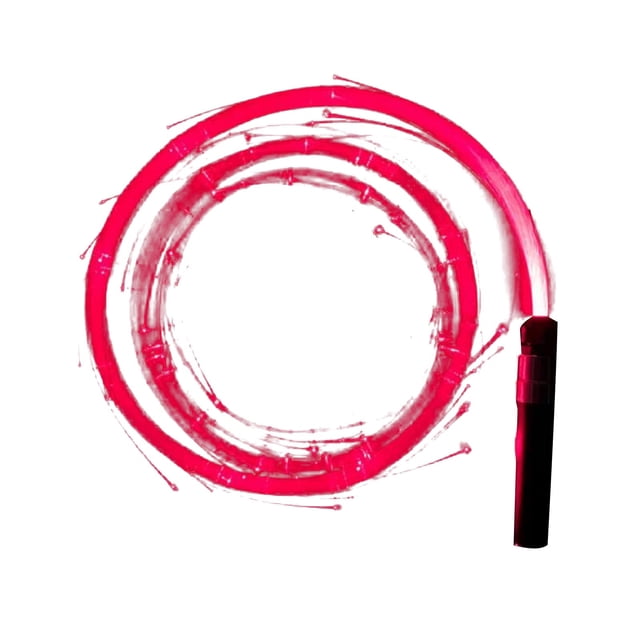 Dadatutu Fiber Pixel Whip Light, Fiber Whip Optical Led Flash Rope Light Dance Props Swing Beating Light Night Party Toys