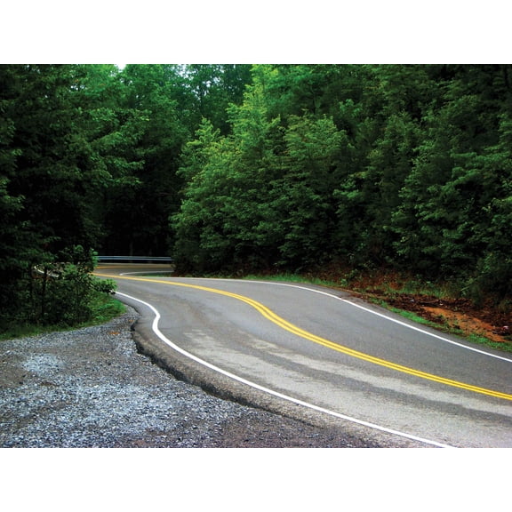 Shaffer Winding Road Wall Decal