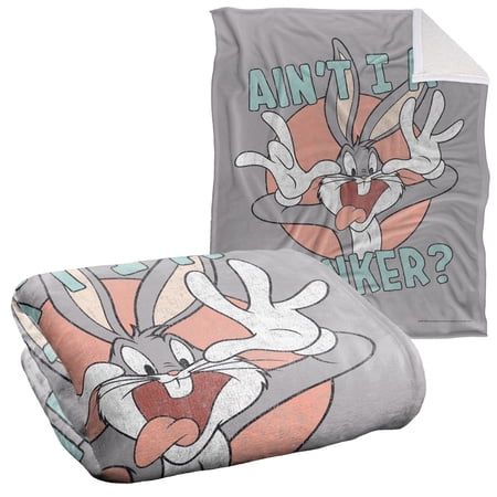 Looney Tunes Blanket 50 x60 Aint I A Stinker Sherpa Back Super Soft Throw