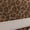 Leopard, variant on Scenario Women's Lace Up Low Profile Sneakers