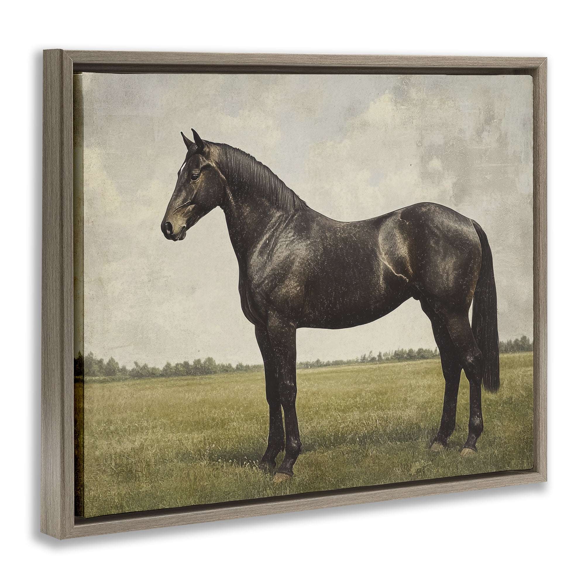 Stupell Industries Espresso Horse in Pastoral Field Brown Framed Floater Canvas Wall Art, design by Petal Prints Design