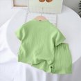 thumbnail image 4 of TOWED22 Toddler Boys Dinosaur Print Short Sleeve T-Shirt Shorts Set Casual Summer 2 Piece Outfit Light Green,12-18 M, 4 of 4