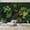 Color 2, variant on Wallpaper Tropical Jungle Sunlight Filtering Canopy rainforest Peel and Stick Wall Murals 69"H x 96"W Removable PVC Wall Paper Self-Adhesive Wall Paintings Art Decor for Bedroom Living Room