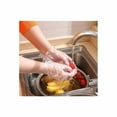 thumbnail image 6 of 150pk Disposable Plastic Gloves for Food Prep Cooking Cleaning Restaurants Work, 6 of 6