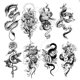 thumbnail image 1 of 8 Piezas Tatuajes Extraíbles Realistas Desechables Cgtredaw, 1 of 9