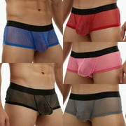 Noyal 2 Pack Mens Sexy Transparent Underwear Sheer Mesh Boxer Briefs Male Ball Pouch Ultra-Thin Low Waist Panties