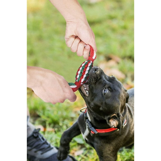 HTOOQ Dog Rope Toys Dog Chew Toys Dog Toy Set for Medium Large
