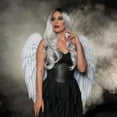thumbnail image 5 of Underwraps UR30478 32 in. Adult Printed Wings, 5 of 5