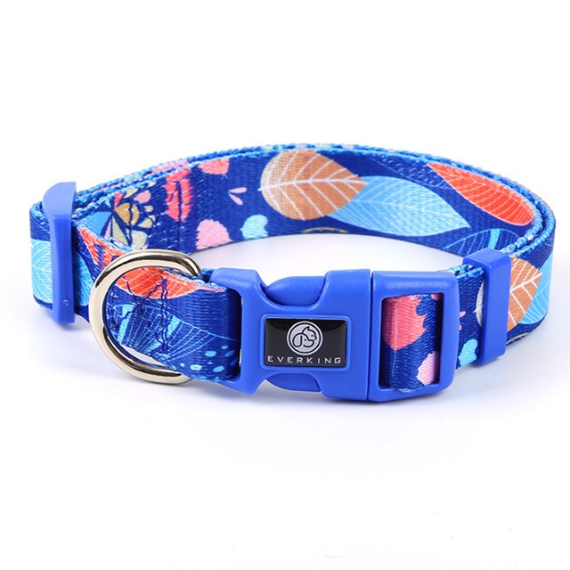 Collar para mascota, correa para perro pequeño, perro que camina, cuerda para perro, collar para mascota