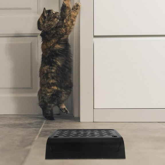 BESTOYARD Portable Black Cat Ramp for Litter Box with Filter to Minimize Litter Scattering
