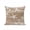 Dark Brown, variant on 1 Pack Outdoor Throw Pillow, Brown Coastal Waterproof Pillow with Insert Included, Summer Ocean Waves Ombre Sea Starfish Decorative Accent Cushion Sofa Pillows for Patio Porch, 16 x 16 In