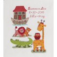 thumbnail image 3 of Bucilla 46360 10" x 13" Two by Two Birth Record Counted Cross Stitch Kit 14 Count, 3 of 3