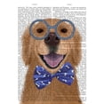 thumbnail image 2 of Fab Funky 26x32 Black Ornate Wood Framed with Double Matting Museum Art Print Titled - Golden Retriever, Glasses and Bow Tie, 2 of 4