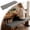 Grey, variant on 100X40X5Cm Bench Cushion Pad Long Padded Indoor Seating Comfortable Rectangular Kitchen Island Counter Seating Foam Padded for Home and Dining Room