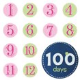 thumbnail image 1 of Bangcool 13PCS Month Sticker Creative Self-adhesive Milestone Sticker Onesie Sticker, 1 of 5