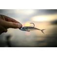 thumbnail image 6 of Berkley PowerBait The Champ Minnow Fishing, 3.4in Smelt, 6 of 6