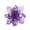 A, variant on Qocolhg 12 Pcs Christmas Poinsettia Flower, Glitter Poinsettia Tree Ornaments, Dark Brown Artificial Flower Decorating Wreath Garland, for Wedding Home Decor, Christmas Decorations Clearance