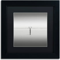 Trademark Fine Art "Isolation" Canvas Art by Dave MacVicar, Black Matte, Black Frame