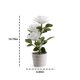 thumbnail image 3 of Naiovety Luz LED solar Bonsai único Lámpara de maceta Planta en maceta Luces de rosas Jardín Lámparas de noche Césped Dormitorio Hogar Decoración del hogar Azul, 3 of 6