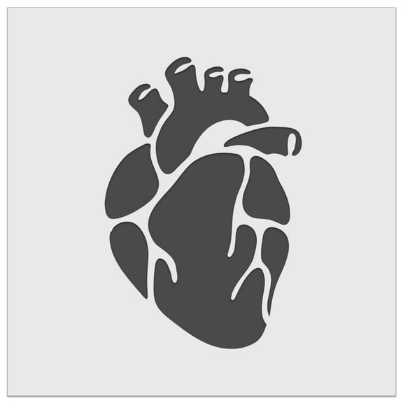 Realistic Heart Four Chambers Anatomy Biology Love Science DIY Cookie Wall Craft Stencil - 5.5 Inch