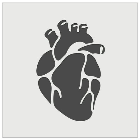 Realistic Heart Four Chambers Anatomy Biology Love Science DIY Cookie Wall Craft Stencil - 5.5 Inch