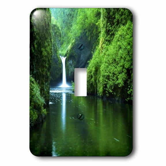 3dRose, Oregon Waterfall, single toggle switch