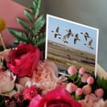 thumbnail image 3 of 3drose, Northern Pintail Ducks in Courtship Flight Near Choteau, Montana, Usa, 6 Greeting Cards with Envelopes, 3 of 7