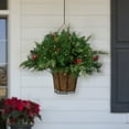 thumbnail image 1 of Northlight LED Lighted Red Berries and Mixed Pine Hanging Christmas Basket - 18", 1 of 6