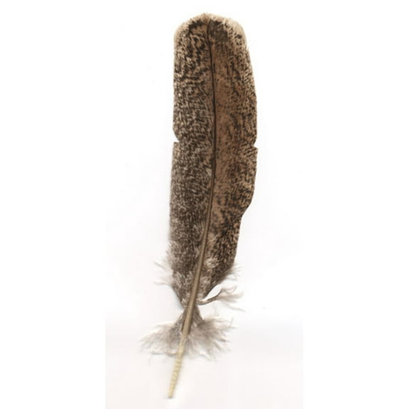Zucker Feather Products Cinnamon Turkey Quills Selected Feathers - 10-12" - Natural