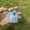 Blue 1, variant on Pet Hair Memorial Pouch Keychain Love Heart Paw Shape Dog Cats Fur Keepsake Holder Collecting Keychains Keyring Bag Pendant Charm Gifts