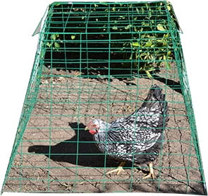 chicken wire walmart chicken wire walmart