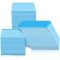 thumbnail image 1 of 100pcs Hygiene Training Pads for Pet Puppies, 1 of 1