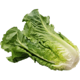 Fresh Romaine Lettuce, Each