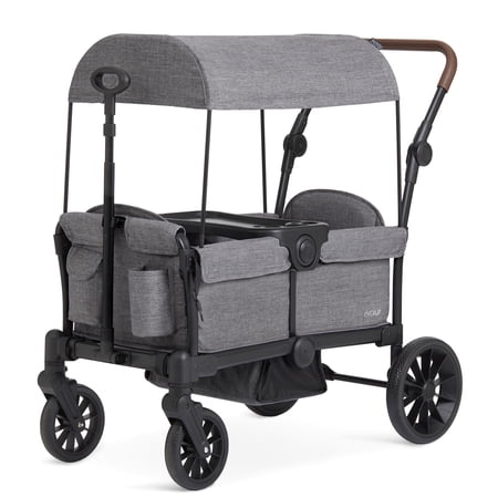 Evolur TrailBlazer Wagon Stroller, Gray