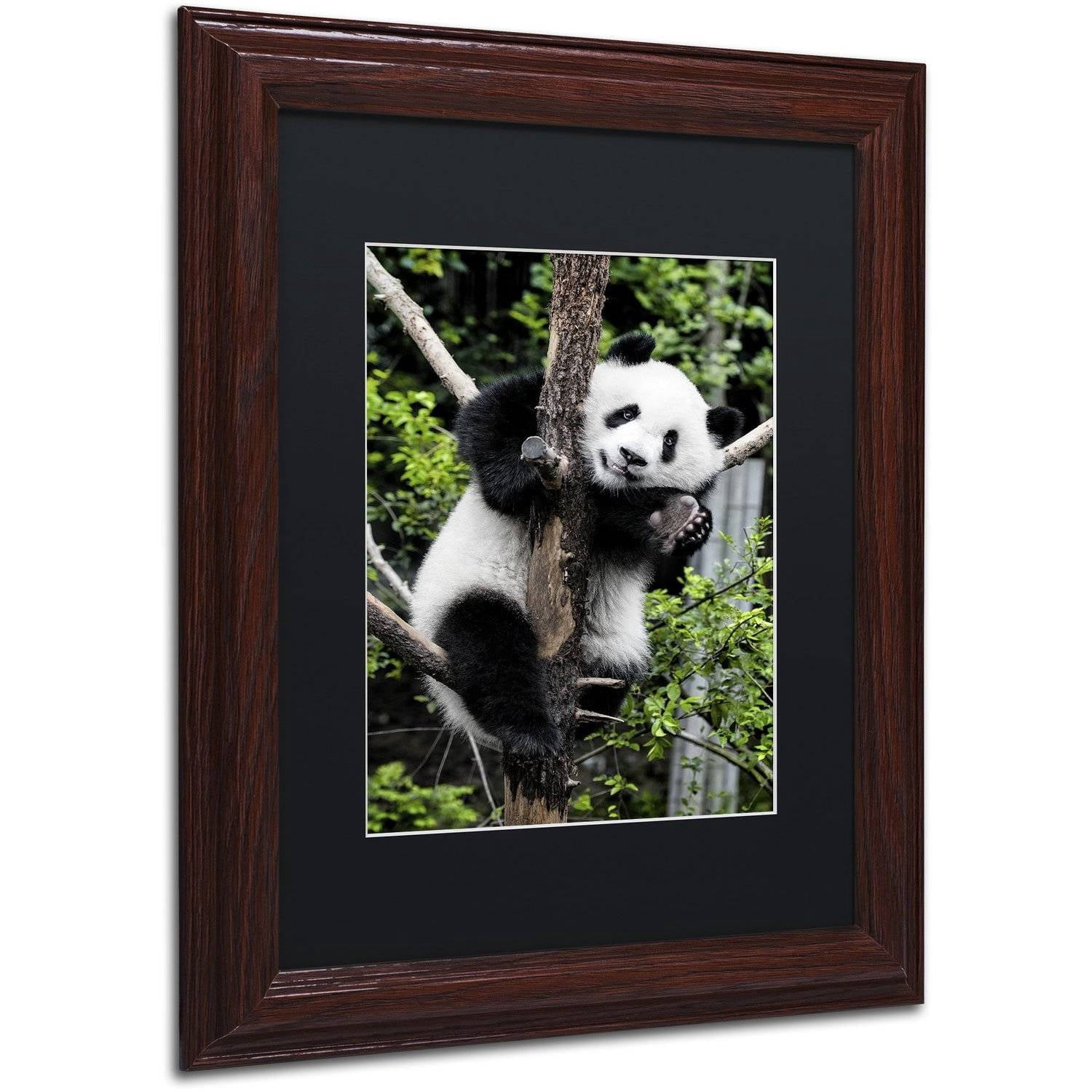 Trademark Fine Art "Giant Panda II" Canvas Art by Philippe Hugonnard, Black Matte, Wood Frame