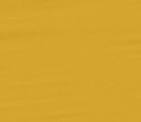 OZARK TRAIL 10′ X 10′ STRAIGHT LEG CANOPY TOP, GOLD