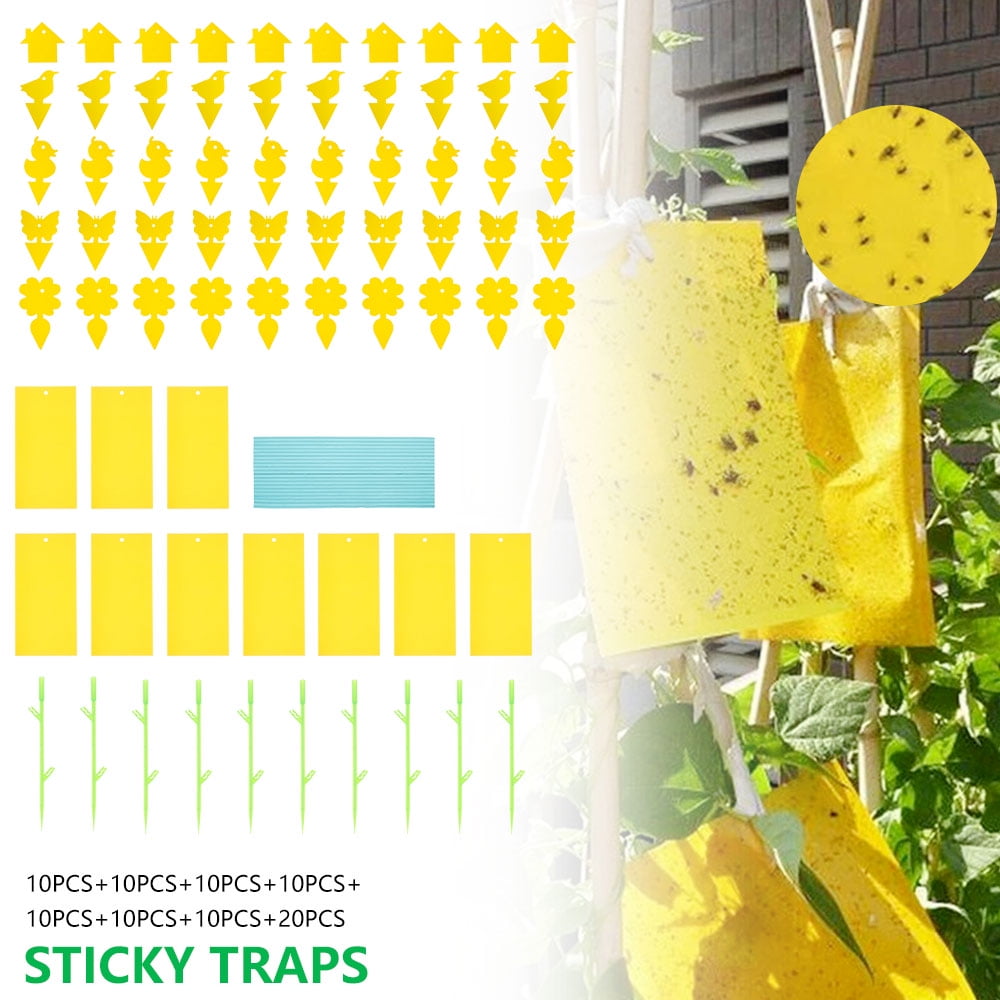 US 10Pcs Sticky Fly Trap Paper Yellow Traps Fruit Flies Insect Glue Catcher Best 