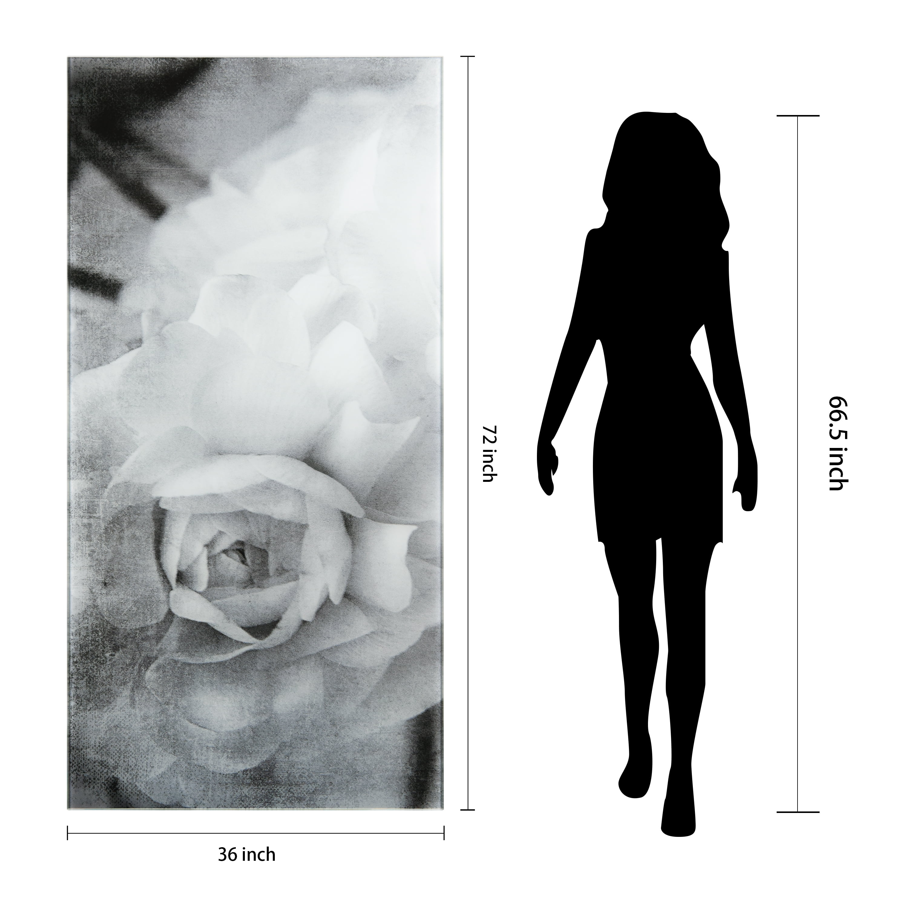 "Dark Ranunculus I A" Frameless Free Floating Reverse Printed Tempered Art Glass Wall Art